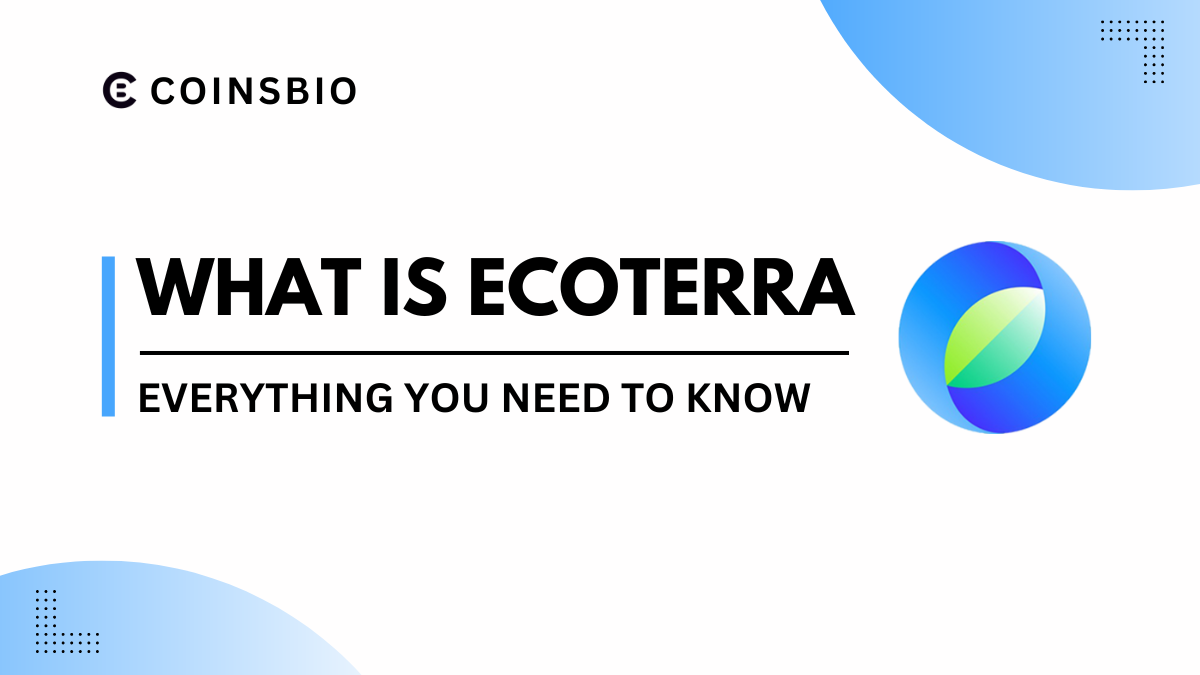 What Is EcoTerra? How it Works, Features and Team