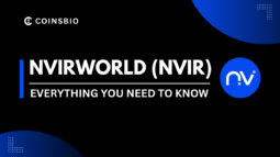 What Is NvirWorld (NVIR) How it Works, Features and Team (1)