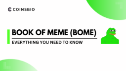 What is Book of Meme (BOME) The New Solana Memecoin Sensation (1)