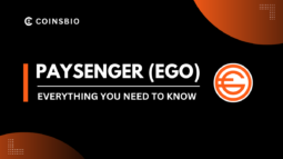 What is Paysenger (EGO) Token How it Works, Features and Team