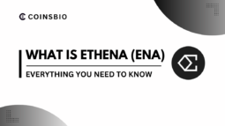 What Is Ethena? How it Works, Features and Team-Featured Image