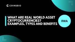 What are Real World Asset (RWAs) Cryptocurrencies? Examples, Types and Benefits-Featured Image