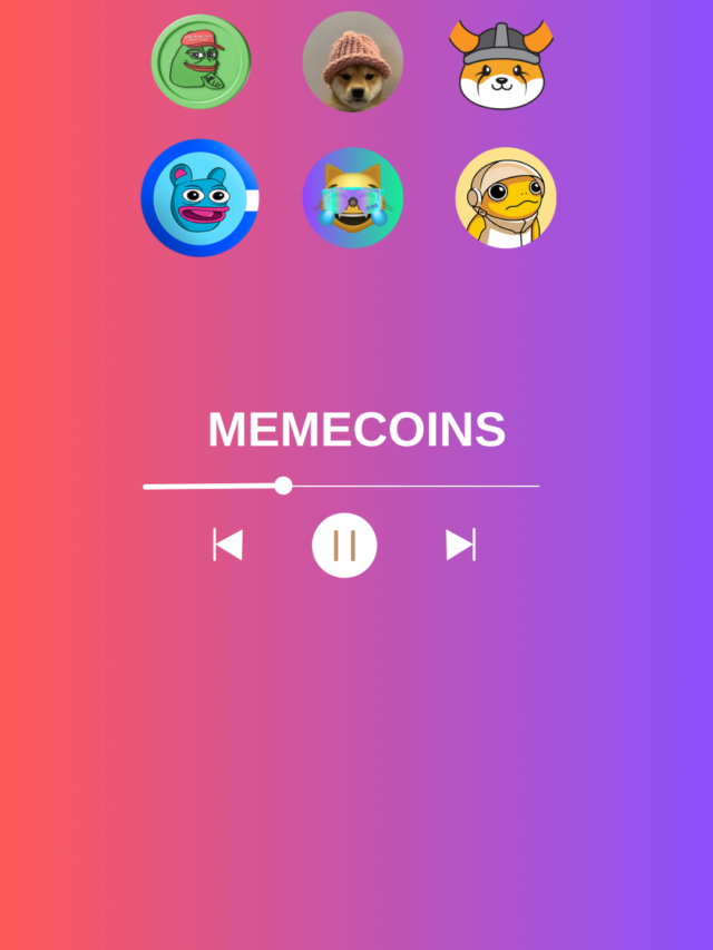 Discover How Much a $1,000 Investment in This Memecoins Turned Out This Year