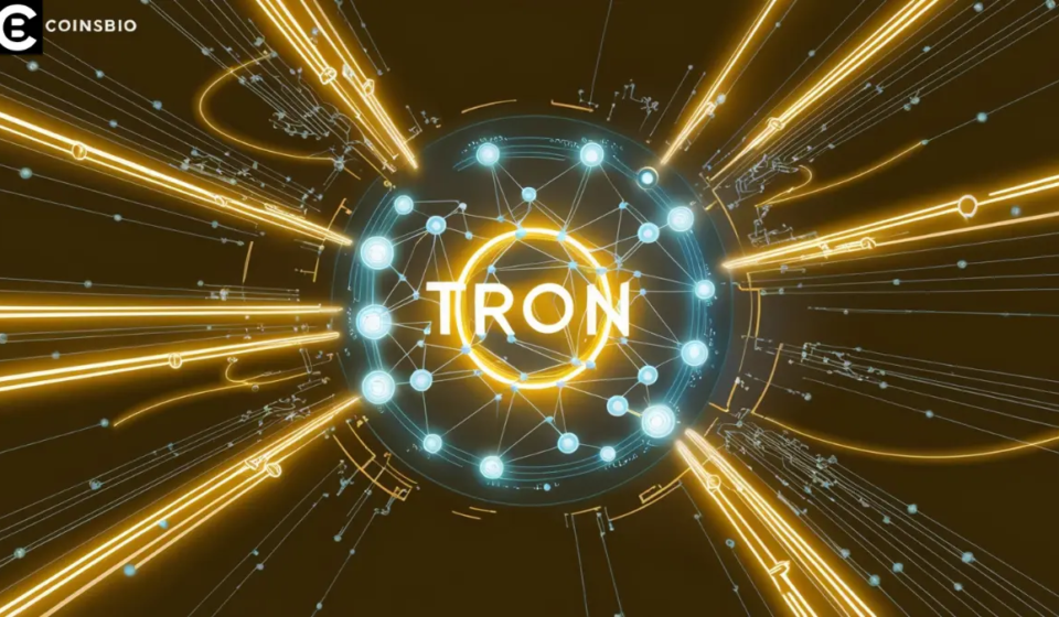 Tron Blockchain