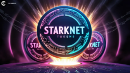 Starknet Tokens