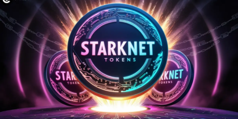 Starknet Tokens