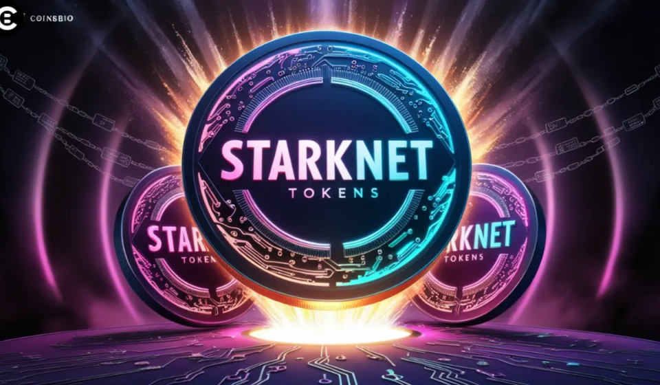 Starknet Tokens